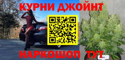 стафф Гусев