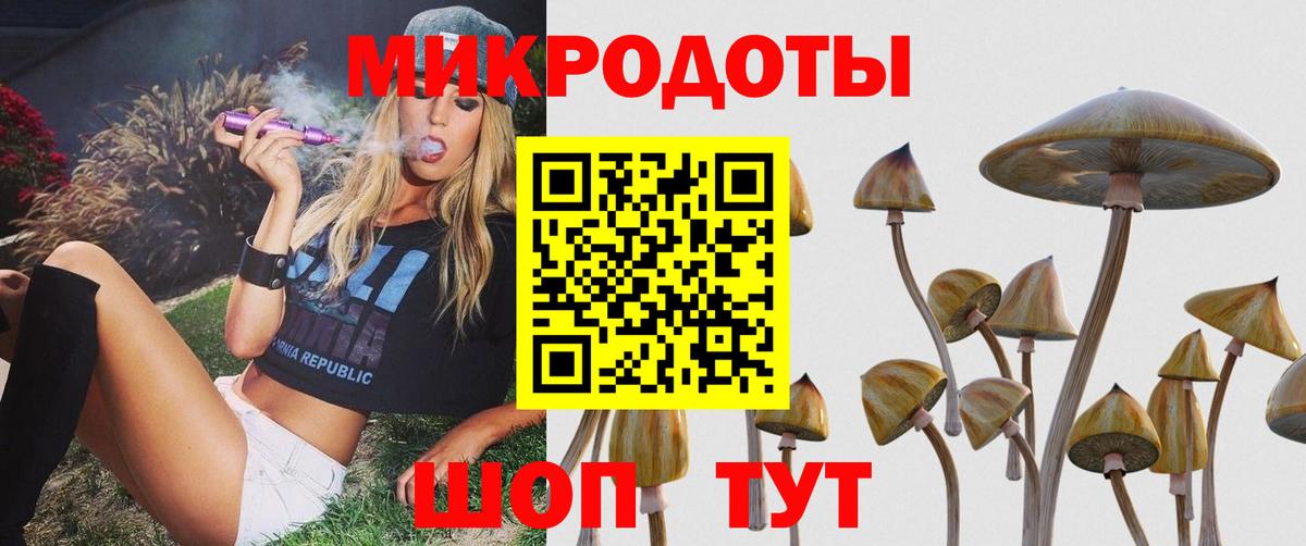 Галлюциногенные грибы Magic Shrooms Нижний Новгород