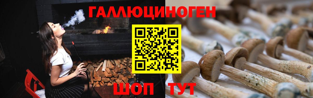Псилоцибиновые грибы Cubensis  купить  сайты  Нижний Новгород  Вход с VPN 